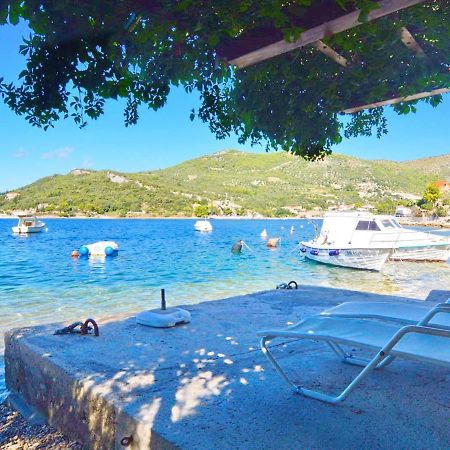 Apartments Violic Zaton  Εξωτερικό φωτογραφία